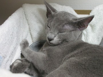 �˂ނ˂�