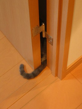 �N�����܂��Ă�