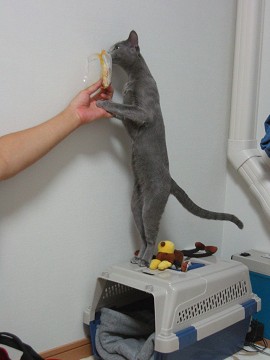 �ɂ�[�[��