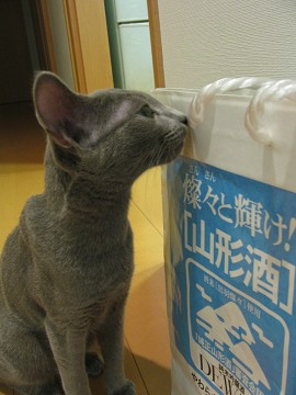 ���̃j�I�C�́E�E�E