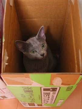 �E���Ă���������