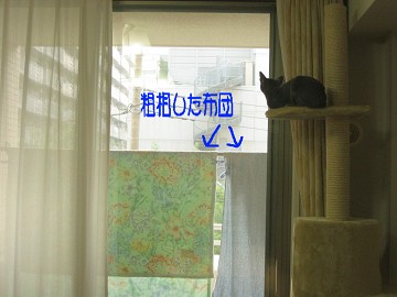 �����������V�C���ȁ[�i�{�j
