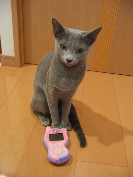 ��΂���ׂ�Ȃ������