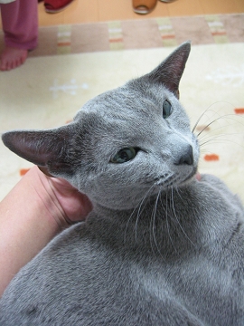 �ꉞ�Z�тĂ����Ȃ��Ƃ�