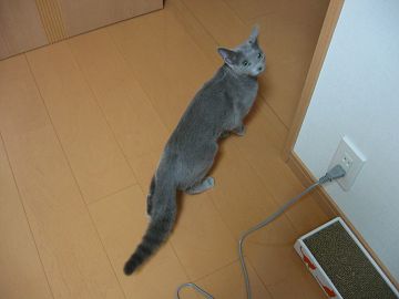 �������Ȃ��ł患