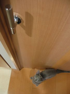 �ނ��`�A�J���Ȃ��E�E�E