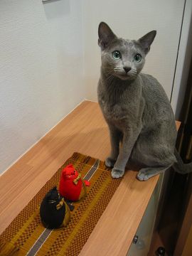 �e����p���[���҂����҂�
