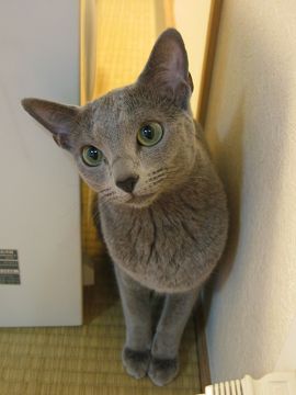 �p�p�����I���������Ȃ��ŁI