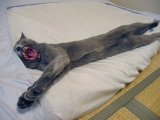 �ӂ��`�A�ǂ��Q���`