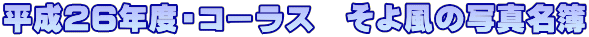 �����Q�U�N�x�E�R�[���X�@���敗�̎ʐ^����