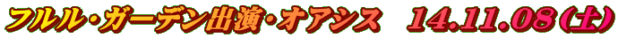 �t�����E�K�[�f���o���E�I�A�V�X�@14.11.08�i�y�j