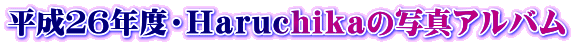 �����Q�U�N�x�E�g�����������������̎ʐ^�A���o��