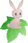 O[