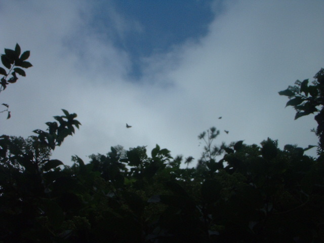 AM10.JPG - 70,328BYTES