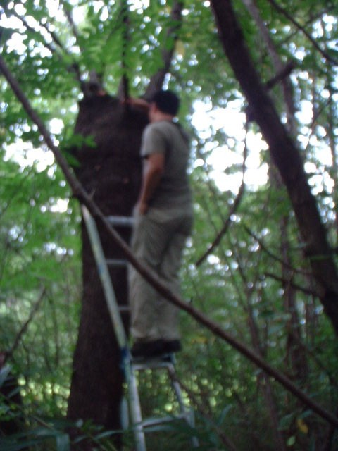 FU1.JPG - 71,387BYTES