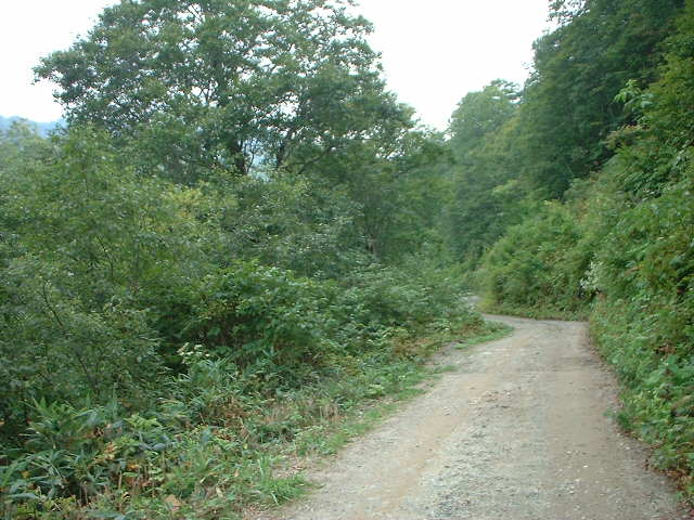 H492.JPG - 74,274BYTES