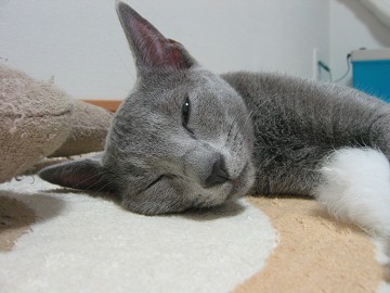 ĖڂJȂ
