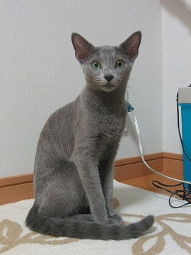 ȂɊۂȂ