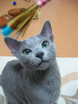 炨ᔃĂH