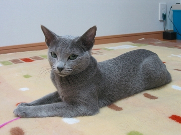 AgĂȂ