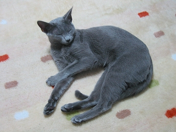 ǂAƂEEE