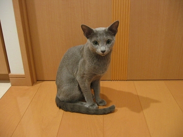 ɂȂĂȂIi܁j