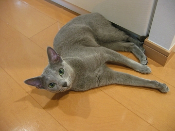I肾ƎvԈႢ