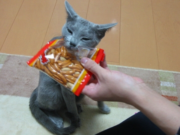 ͂`AǂJzEEE