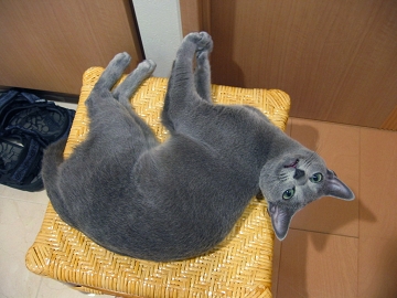 ���[���[�āH